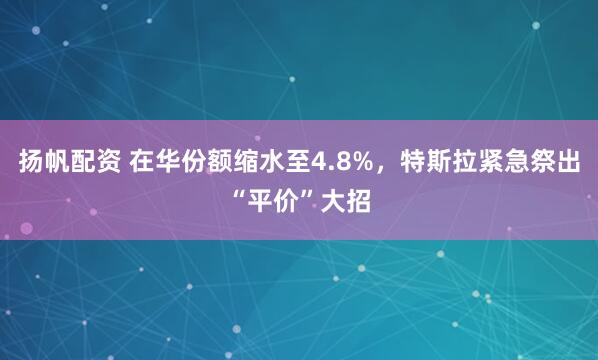 扬帆配资 在华份额缩水至4.8%，特斯拉紧急祭出“平价”大招