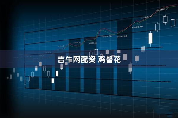 吉牛网配资 鸡髻花