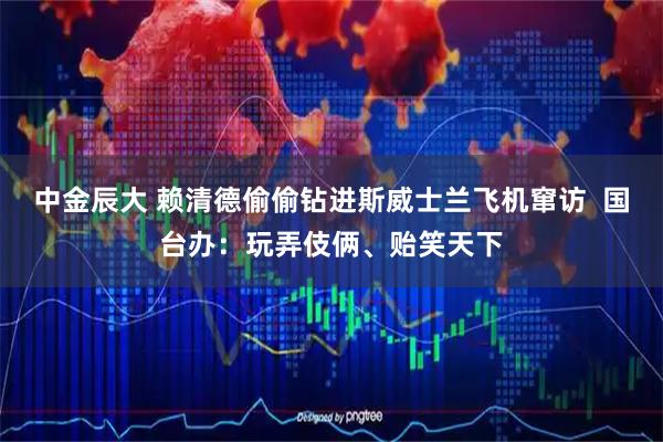 中金辰大 赖清德偷偷钻进斯威士兰飞机窜访  国台办：玩弄伎俩、贻笑天下